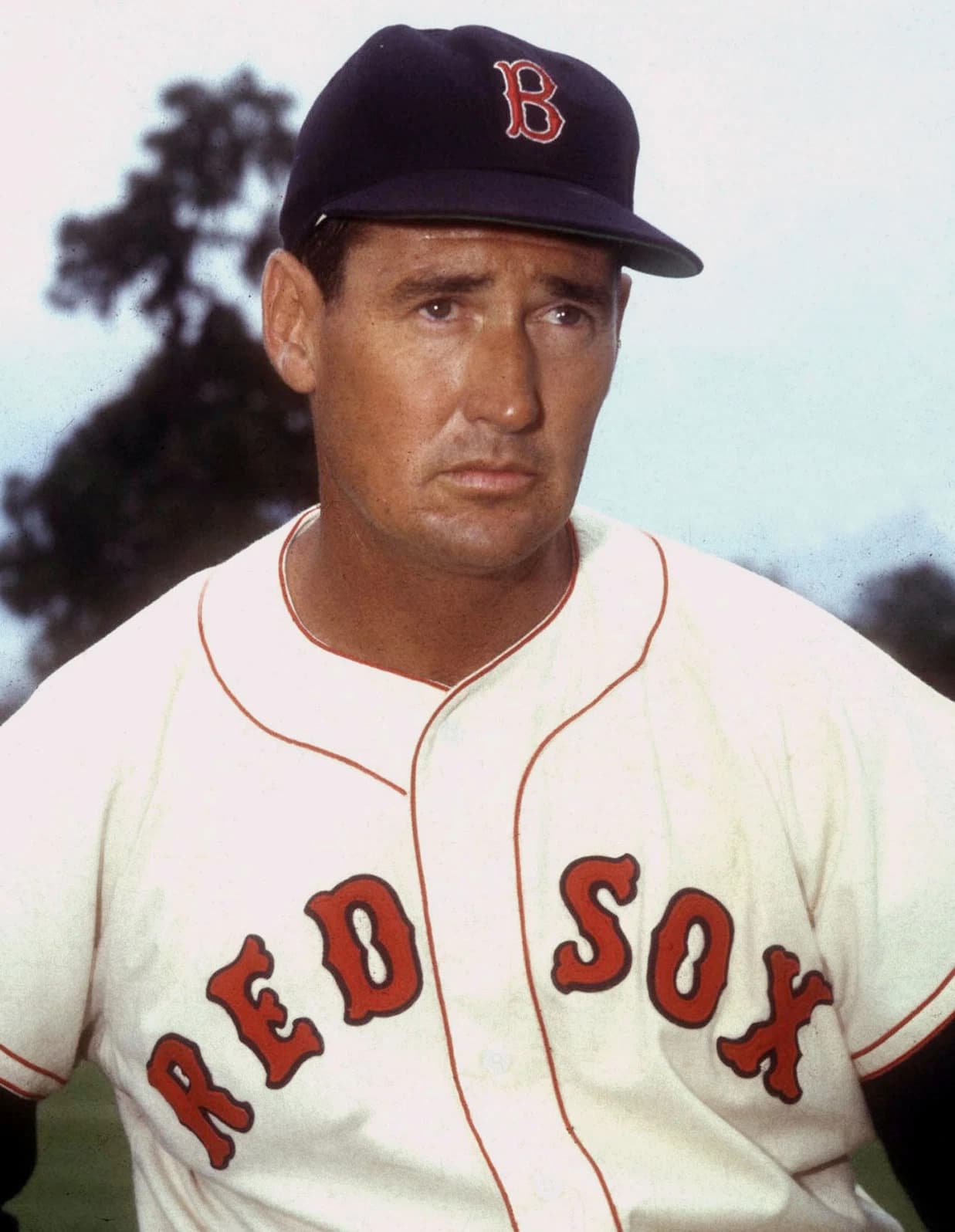 Ted Williams