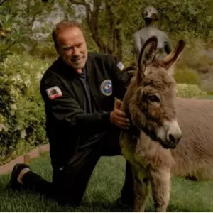 Arnold Schwarzenegger