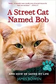 A Street Cat Named Bob