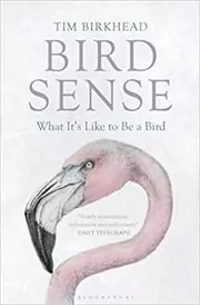 Bird Sense