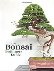 Bonsai