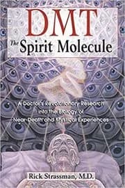 DMT : la Molécula Del Espíritu
