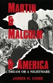 Martin & Malcolm & America