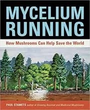 Mycelium Running