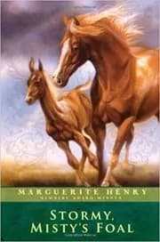 Stormy, Misty's Foal