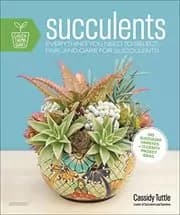 Succulents