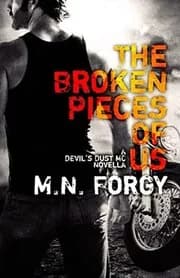 The Broken Pieces of Us