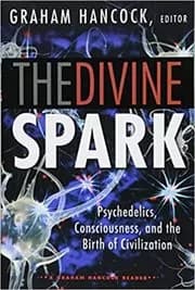 The Divine Spark