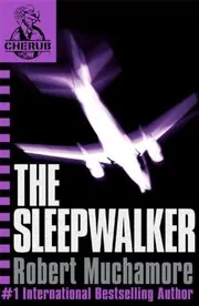 The Sleepwalker
