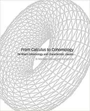 From Calculus to Cohomology