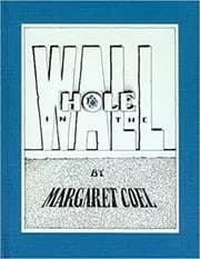 Hole in the Wall