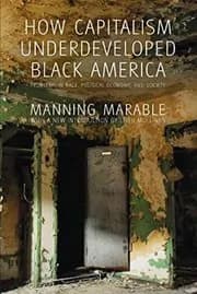 How Capitalism Underdeveloped Black America