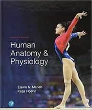 Human Anatomy & Physiology