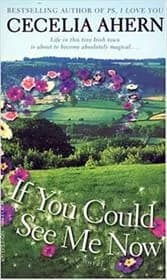 If You Could See Me Now