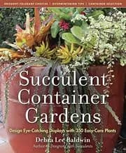 Succulent Container Gardens