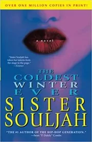 The Coldest Winter Ever