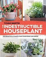 The Indestructible Houseplant