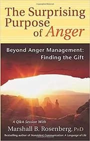 The Surprising Purpose of Anger