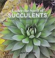 Under the Spell of Succulents