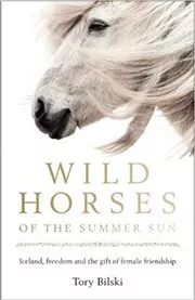 Wild Horses of the Summer Sun