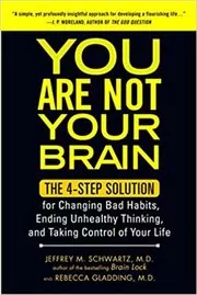 You Are Not Your Brain